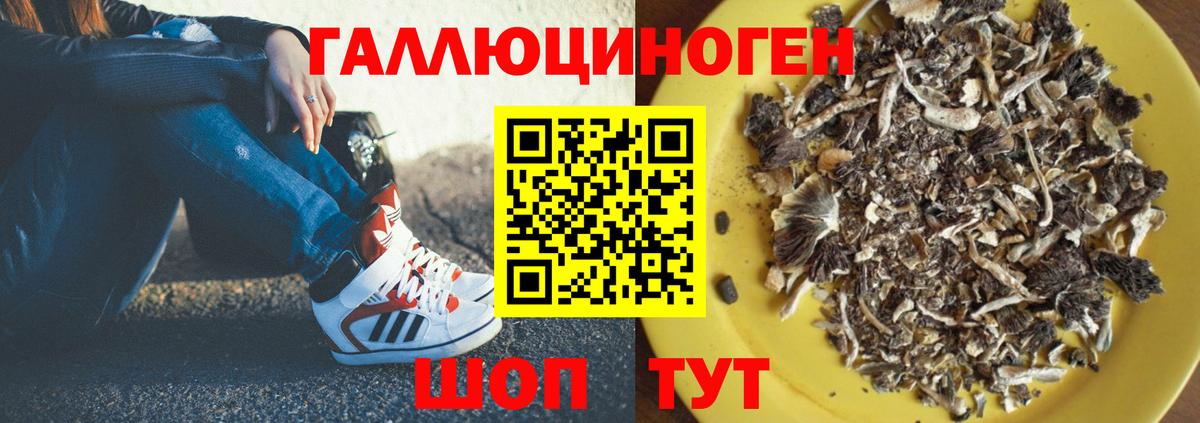 Псилоцибиновые грибы прущие грибы  продажа наркотиков  Пенза  Вход с VPN  Псилоцибиновые грибы мицелий 