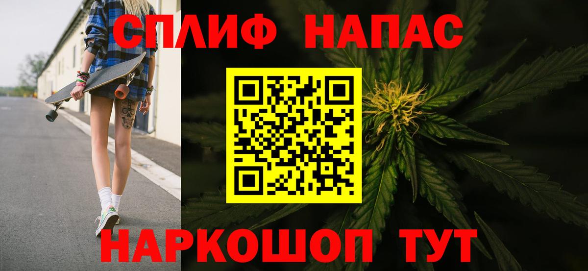 Канабис сатива Пенза